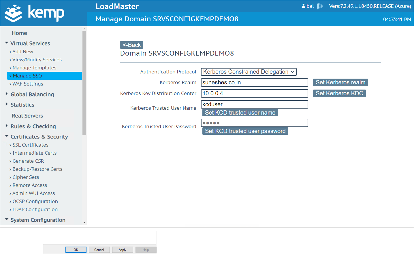 Screenshot: „Manage SSO“ > „Manage Domain“ (SSO verwalten > Domäne verwalten)