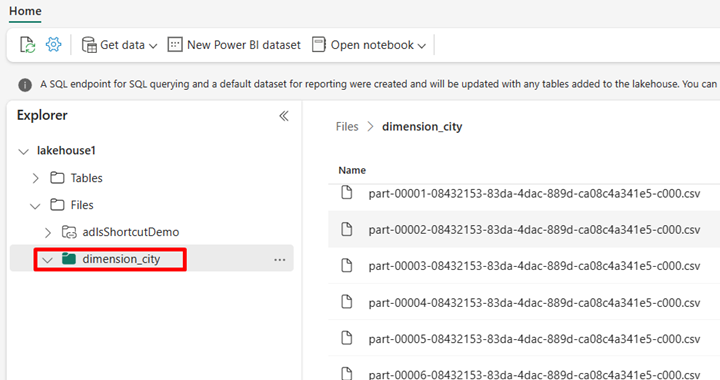 Screenshot: Anzeigen der Lakehouse-Dateien in Fabric