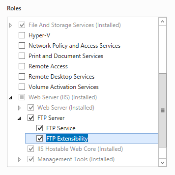 Screenshot of F T P service and F T P Extensibility selected under F T P Server in the expanded Web Server (I I S) list.