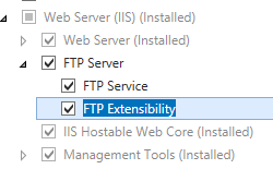 Screenshot of the Web Server (IIS) > FTP Server sub-options on the Server Roles page. The FTP Service and FTP Extensibility boxes are checked.