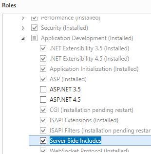 Screenshot of Server Side Includes selected under Application Development in an expanded Web Server (I I S) and Web Server lists.