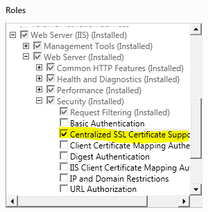 Screenshot der Server-Manager Navigationsstruktur. Die Zentrale S L-Zertifikatunterstützungsoption unter dem Sicherheitsknoten ist ausgewählt und hervorgehoben.