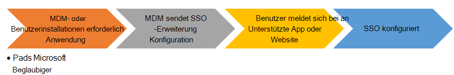 Ablaufdiagramm für Endbenutzer beim Installieren der SSO-App-Erweiterung auf iOS-/iPadOS-Geräten.