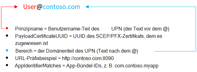 iOS/iPadOS Username SSO-Attribut in Microsoft Intune