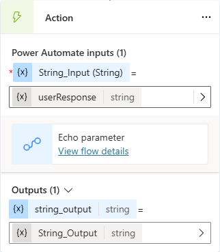 Screenshot des Aktionsknotens, der den Flow Echo-Parameter aufruft.