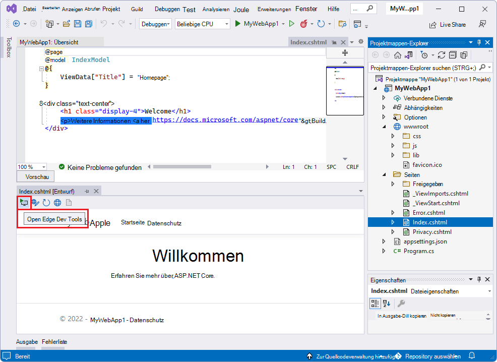 Ein ASP.NET Projekt beim Öffnen von Edge DevTools