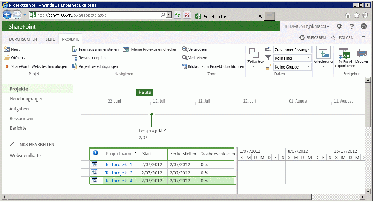 Überprüfen der veröffentlichten Projekte in Project Web App