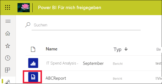 Screenshot showing the report list with one standard report and one paginated report.