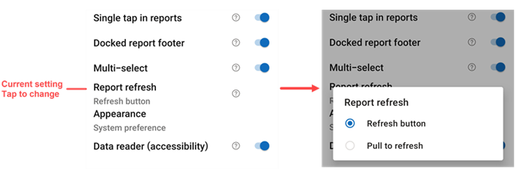 Screenshot showing how to change the report refresh setting.