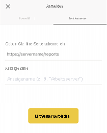 Screenshot mit eingetragenen Berichtsserverdetails