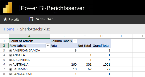 Excel reports viewed from the report server web portal