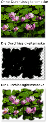 Ein Objekt mit einer ImageBrush-Deckkraftmaske