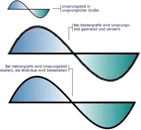 Unterschiede zwischen Raster- und Vektorgrafiken