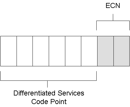 The new definition of the DS field for ECN