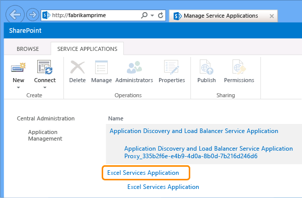 Choose Excel Services Application