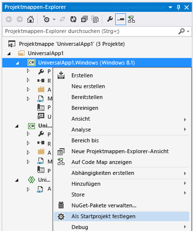 "Als Startprojekt festlegen" auswählen