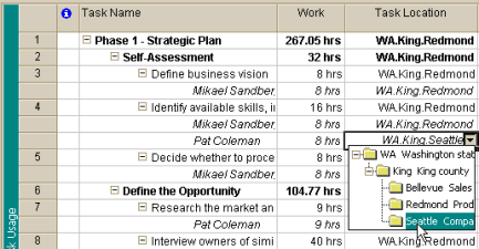 Setting an assignment custom field in Task Usage