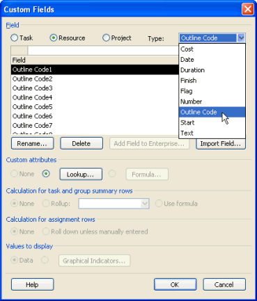 Project 2007 Custom Fields dialog box