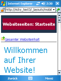 Angepasster Kopfzeilenbereich auf Homepage