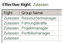 Abfrageergebnis des View Effective Rights-Tools