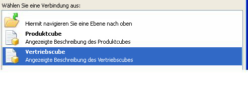 Excel Services-Fenster zum Auswählen der Verbindung