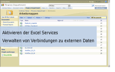 Foto aus Excel Services-Videodemo