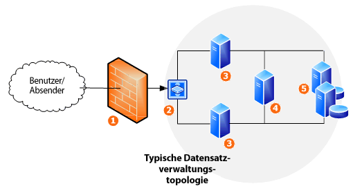 Netzwerktopologie zur Datensatzverwaltung