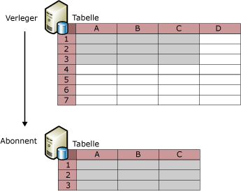 Zeilen- und Spaltenfilterung