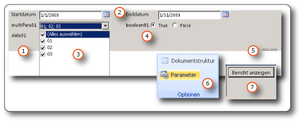 Parameter auf der Berichts-Viewer-Symbolleiste