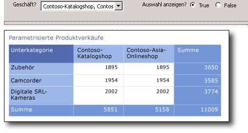 Parametrisierter Verkaufsbericht