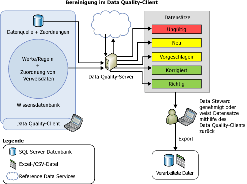 Datenbereinigung im Data Quality-Client