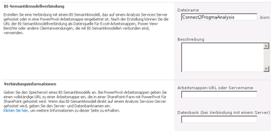 BISM-Verbindungsseite mit URL der Arbeitsmappe