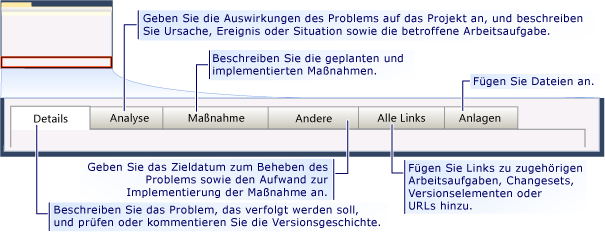 Arbeitsaufgabenformular für CMMI-Problem - Registerkarten