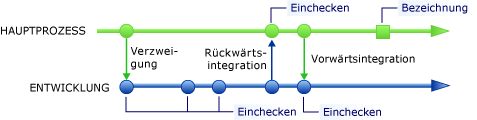 Hauptverzweigung