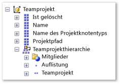 Teamprojektmaß