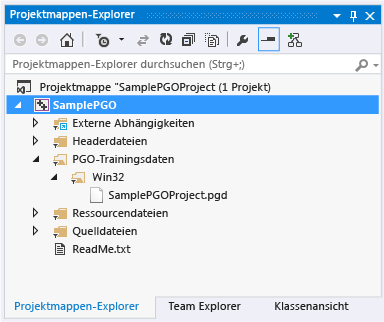 PGO-Datendatei im Projektmappen-Explorer