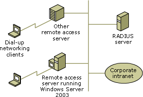 Using RADIUS in a heterogeneous infrastructure