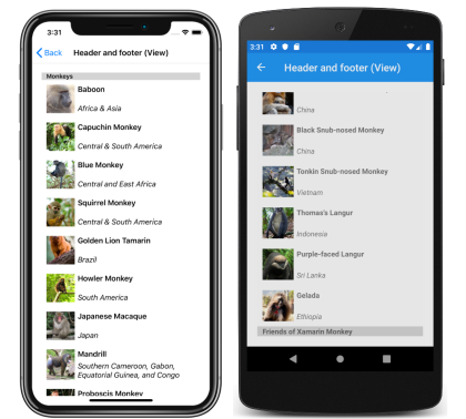 Screenshot einer CollectionView-Kopf- und Fußzeile mit Ansichten unter iOS und Android