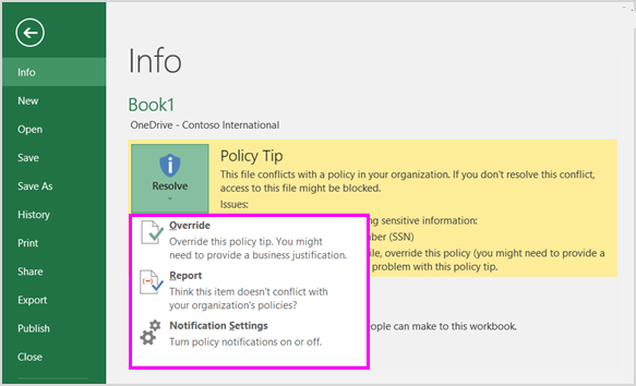 Optionen für Richtlinientipp in Backstage in Excel 2016.