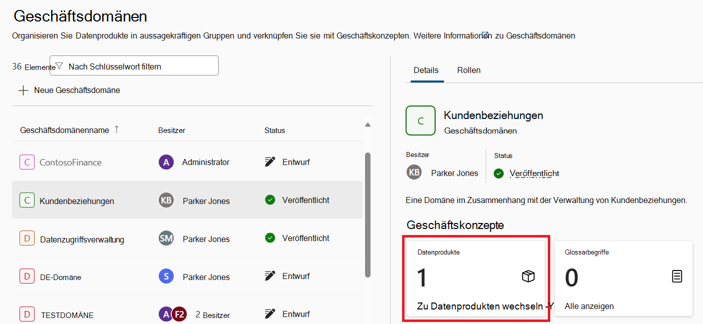 Screenshot der Detailseite einer Governancedomäne mit hervorgehobener Karte