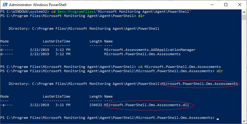 Windows PowerShell-Fenster, bei dem das korrekte Arbeitsverzeichnis und Unterverzeichnis angezeigt wird.