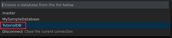 Screenshot der Visual Studio Code, Datenbank auswählen.