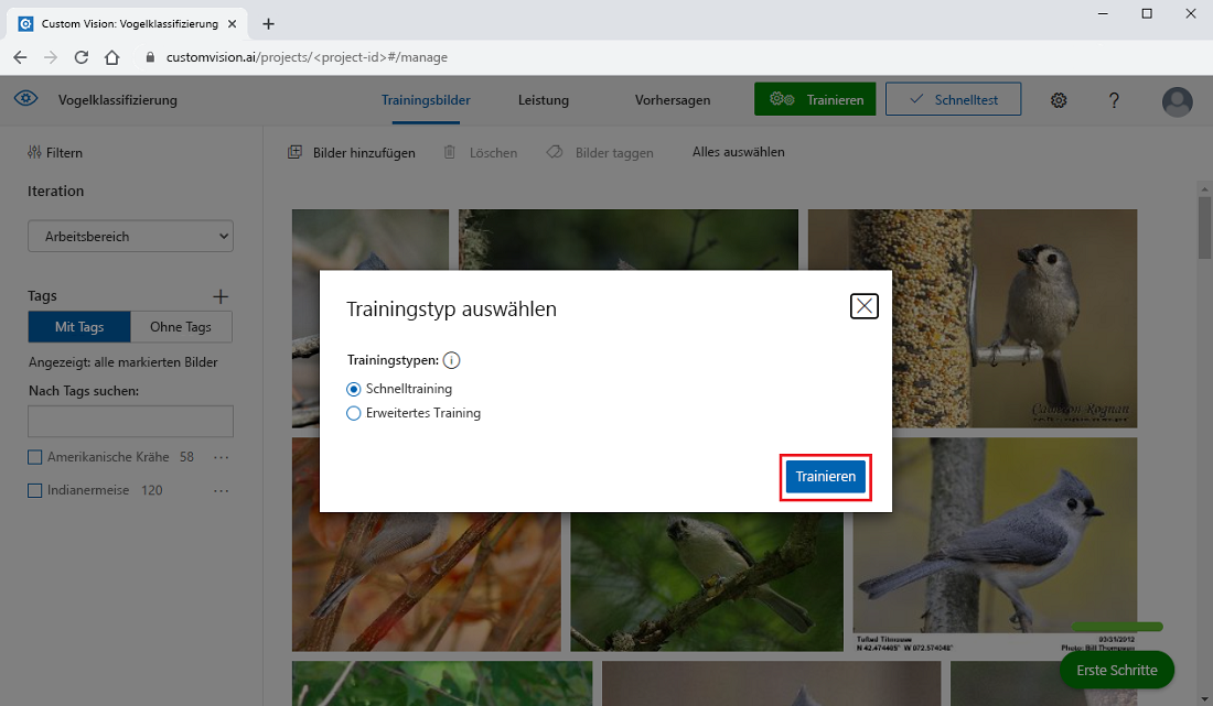 Screenshot, der zeigt, wie Sie im Custom Vision-Portal eine Schnelltrainingsiteration erstellen.