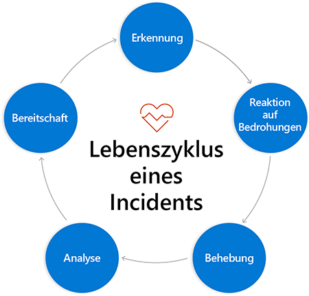 Zyklusdiagramm aus Kreisen mit der Bezeichnung der oben genannten Phasen, die Kreise sind mit dem jeweils nächsten Kreis durch einen Pfeil verbunden, der von Phase zu Phase verweist