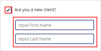 Screenshot eines Kontrollkästchens mit der Frage „Sind Sie ein neuer Kunde?“ geprüft mit Eingabefeldern für Anzeige des Vor‑ und Nachnamens