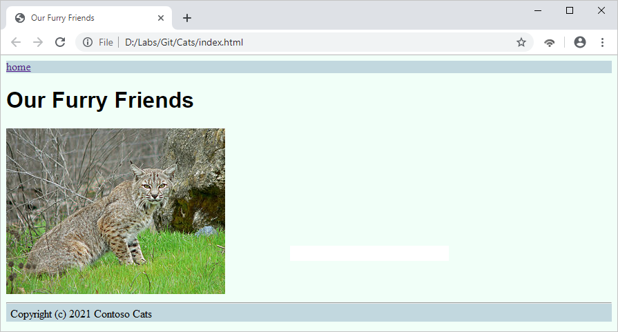 Screenshot mit Katzen auf der Website