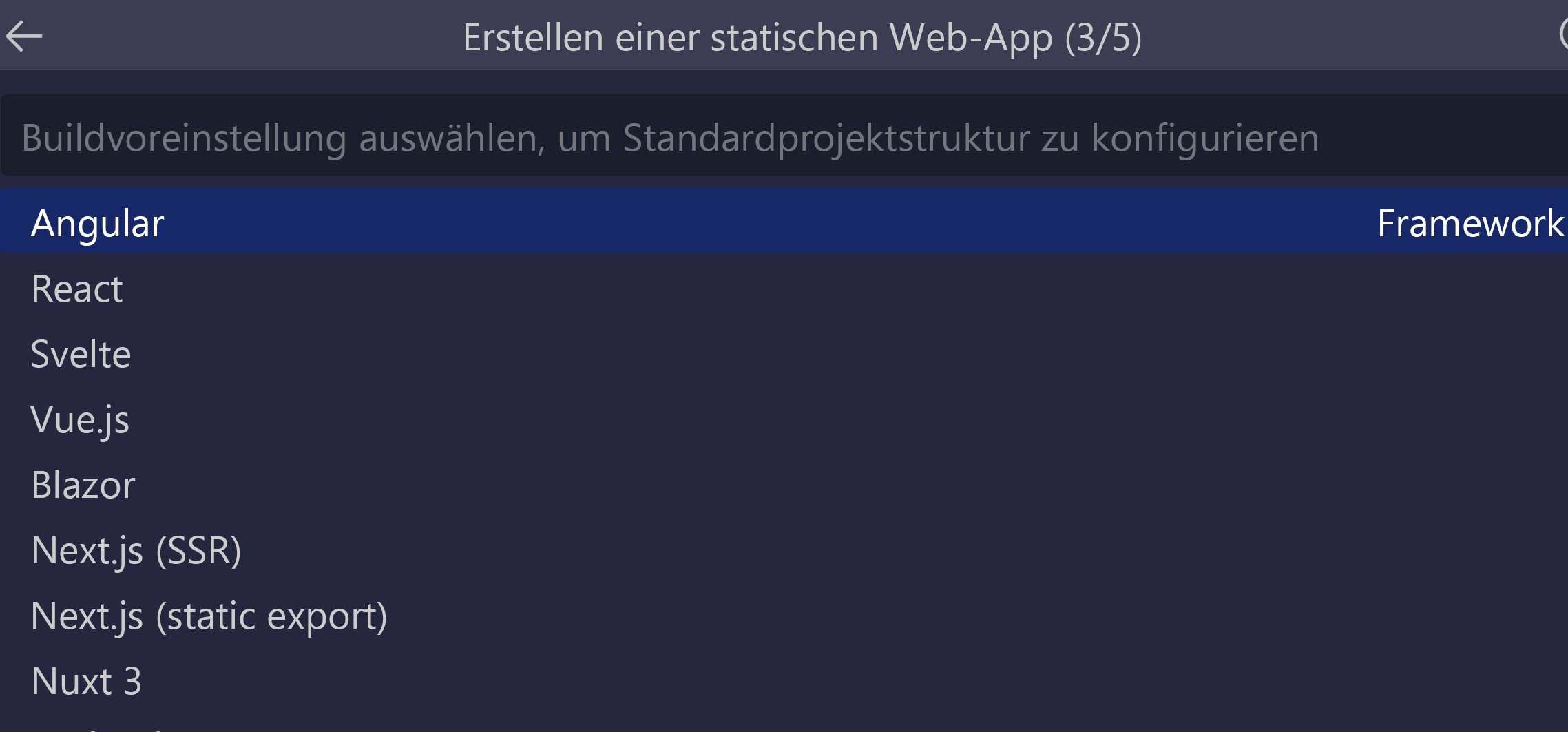 Screenshot der ausgewählten Angular-Option.