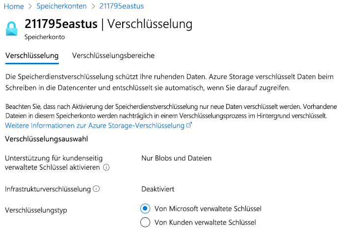 Screenshot that shows Azure Storage encryption, including keys managed by Microsoft and customer-managed keys.