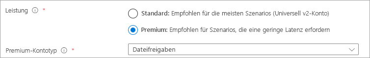 Screenshot des Optionsfelds „Leistung“, in dem „Premium“ ausgewählt ist und als Kontotyp der Eintrag „Dateifreigaben“ ausgewählt ist.