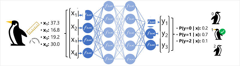 Diagramm eines neuronalen Netzes zur Klassifizierung einer Pinguinart.